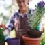 Image of a mature man repotting flowers